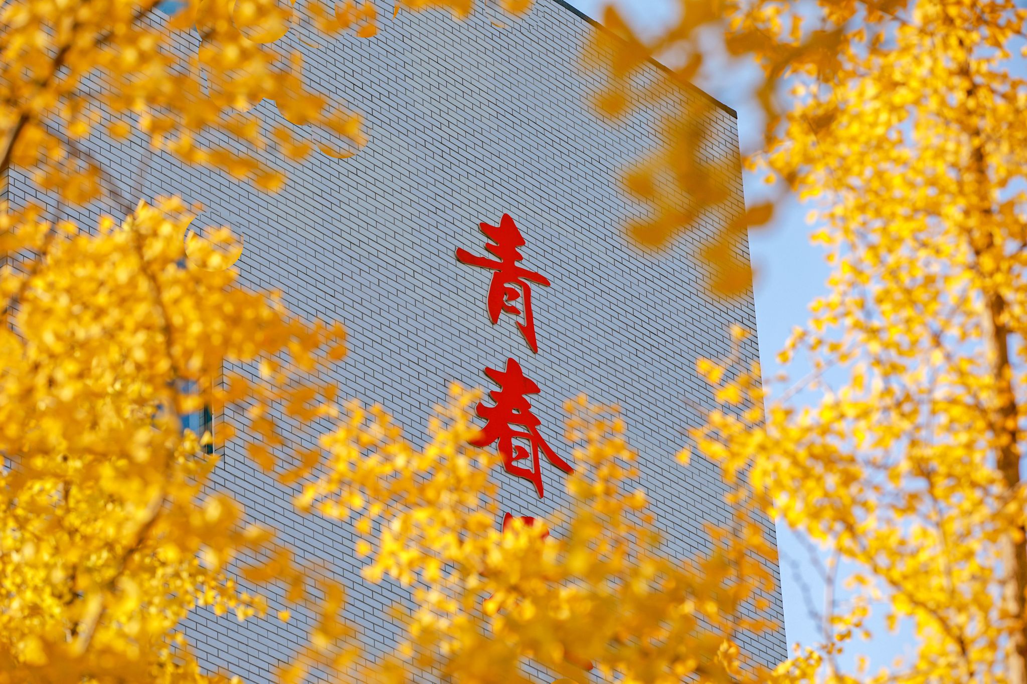 赢钱彩新版本下载