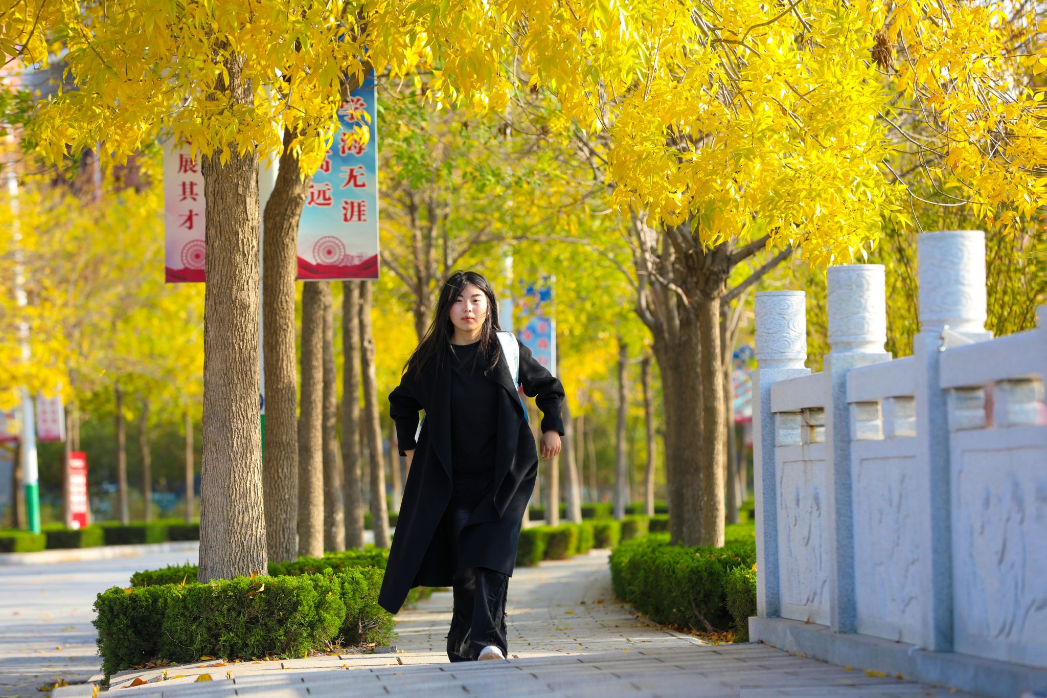 赢钱彩新版本下载